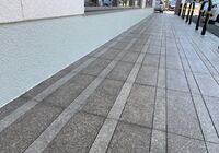 IMG_3015